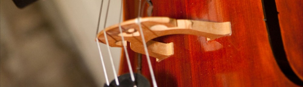 Suzuki Cello Lessons in Norwich